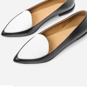 Everlane - pointy modern loafers